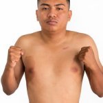 Torres Villafuerte Nelson Junior