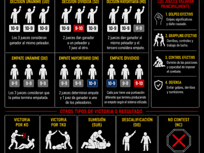 Calificación ( MMA AMATEUR)